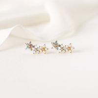 The Floral Climber Earrings