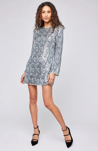 The Zadie Sequin Dress