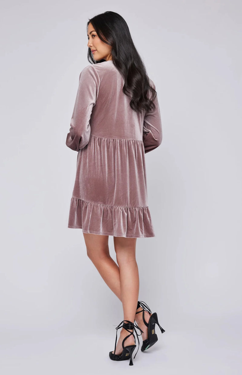 The Phillipa Velvet Dress